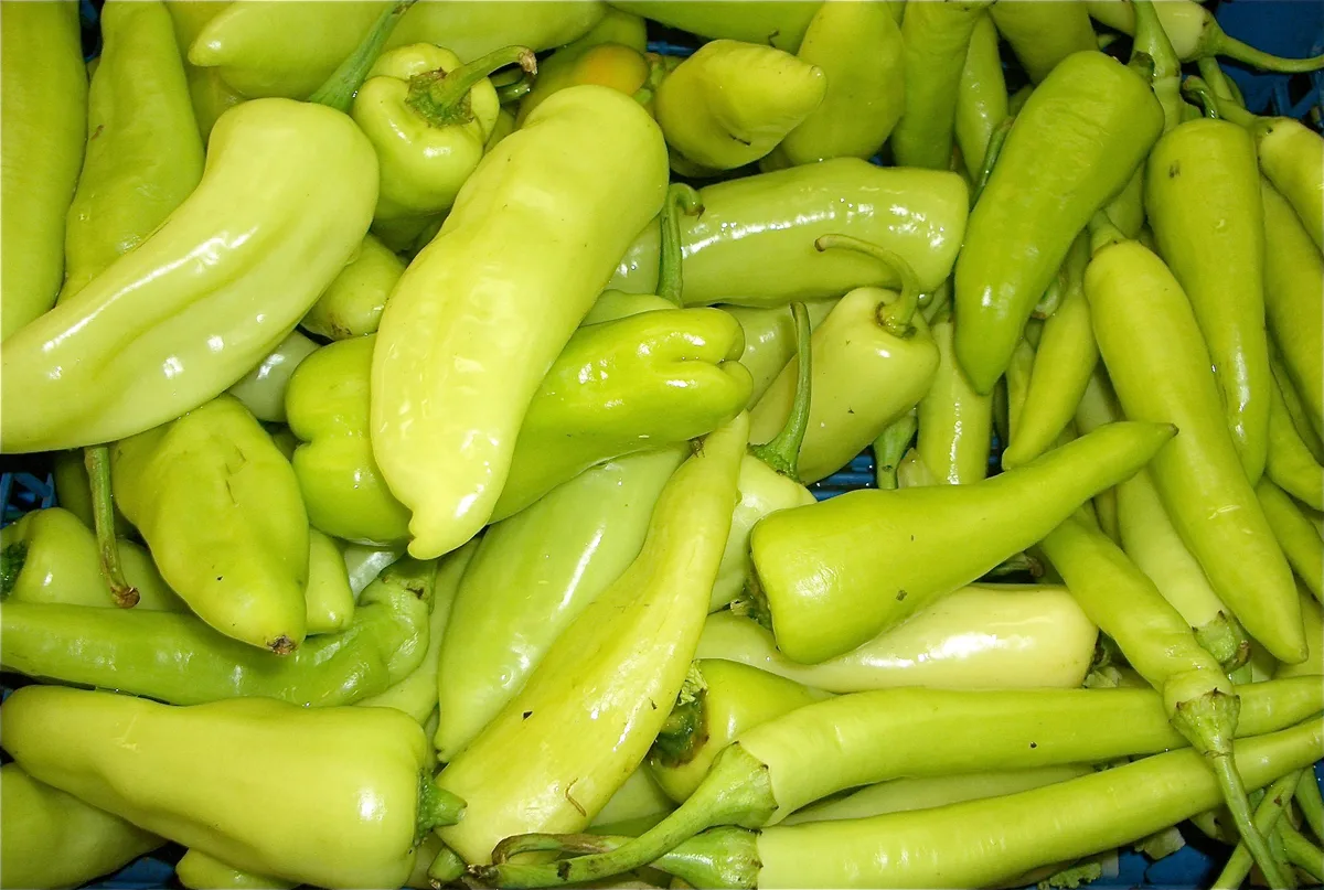 Banana Pepper chilli pepper
