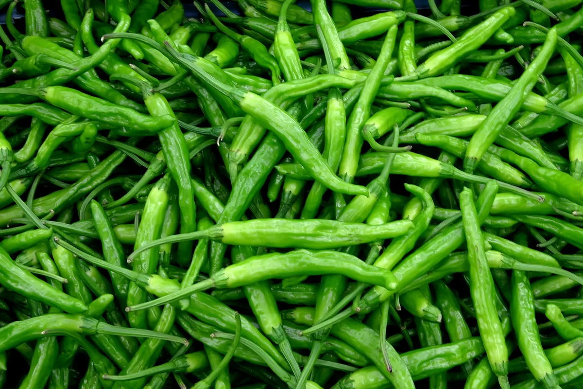 Cheongyang chilli pepper