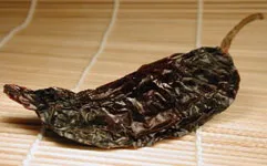 Chilaca chilli pepper