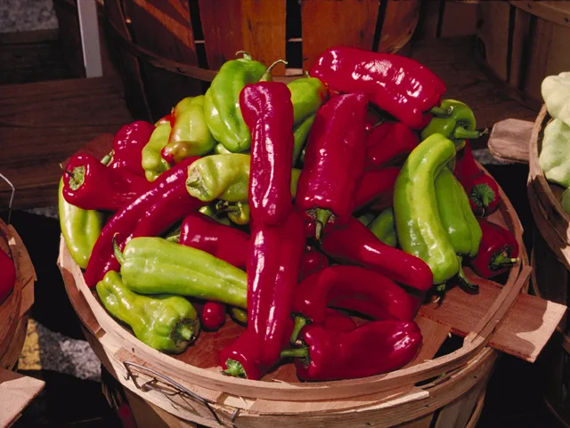 Cubanelle chilli pepper