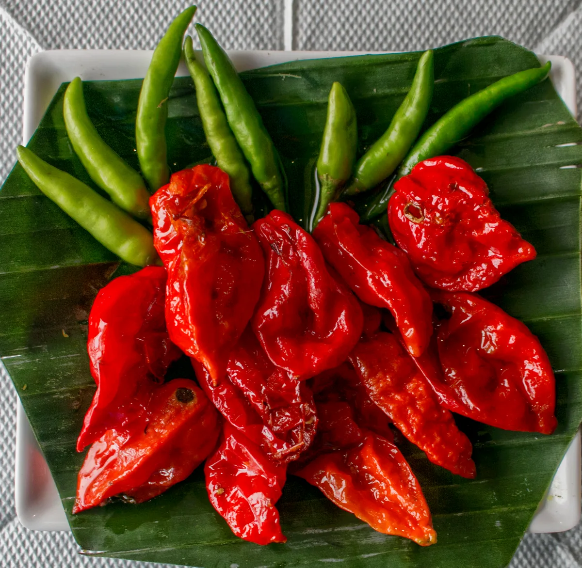 Ghost Pepper chilli pepper