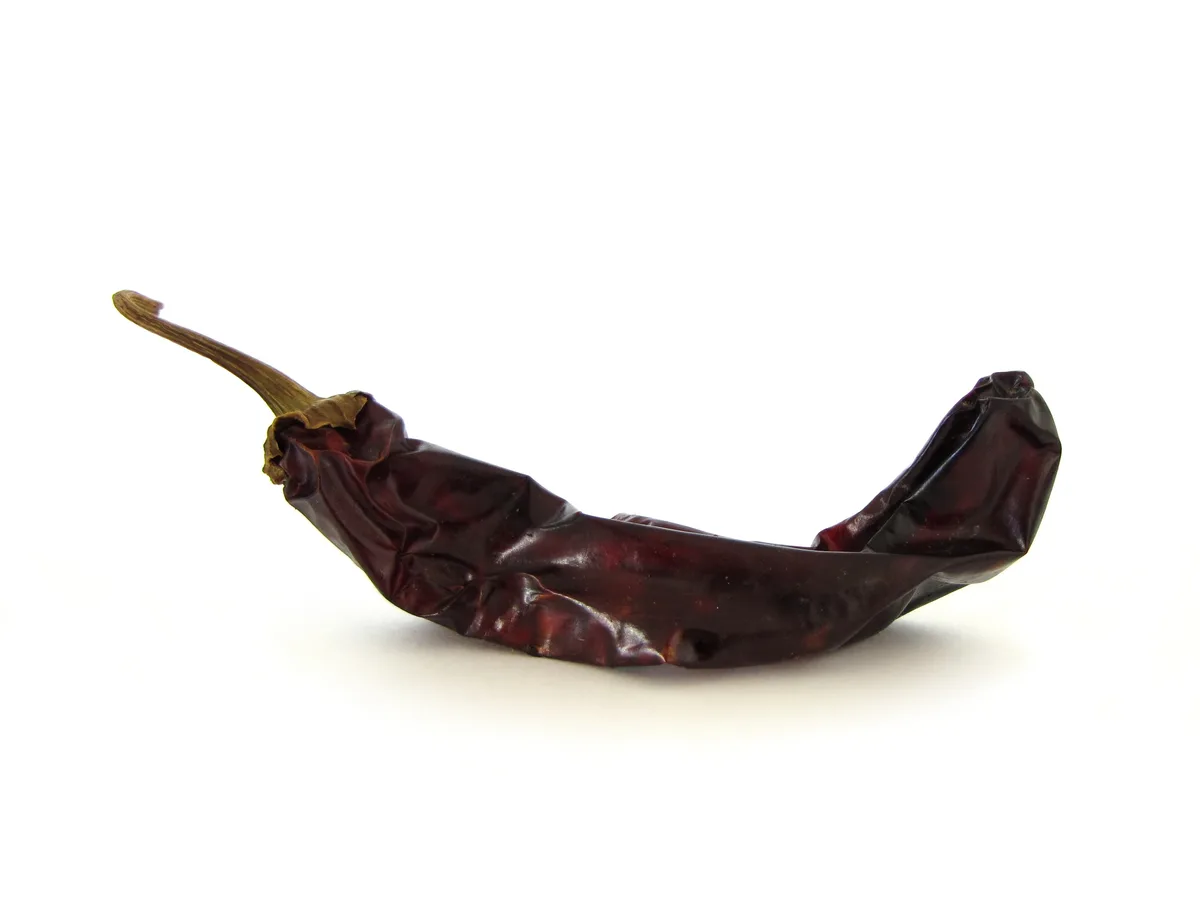 Guajillo chilli pepper