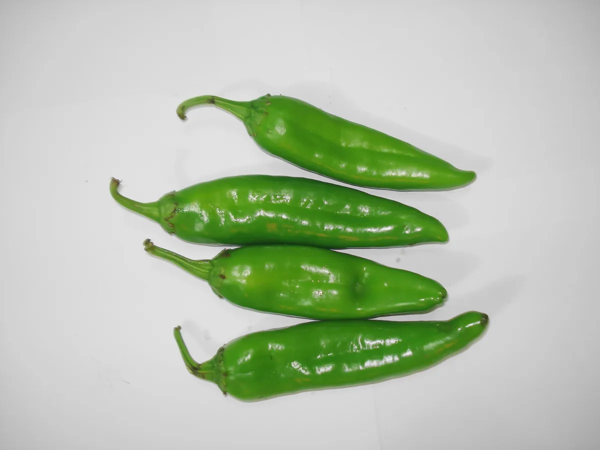 Kashmiri Chilli chilli pepper