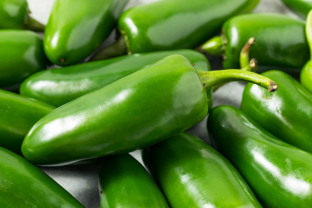 Jalapeño